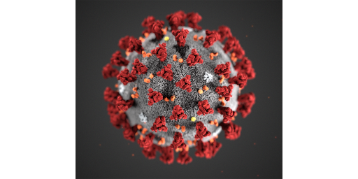 Coronavirus (COVID-19) update