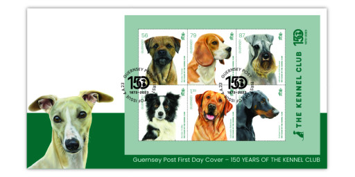 Souvenir Sheet First Day Cover