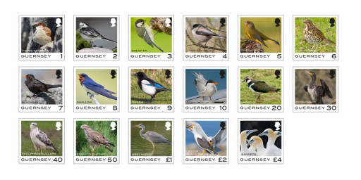 Guernsey Post to issue definitive stamps depicting Bailiwick birds