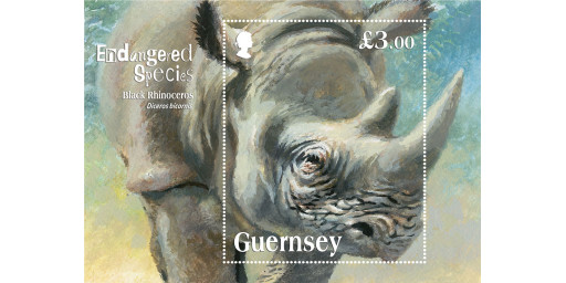 Guernsey Post stamp depicts critically endangered Black Rhino